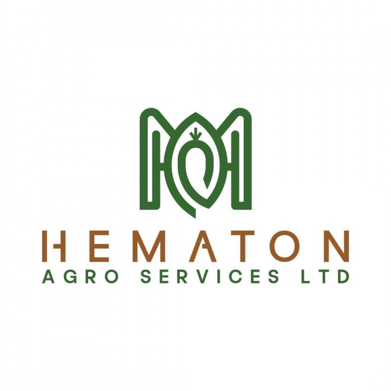 Hematon