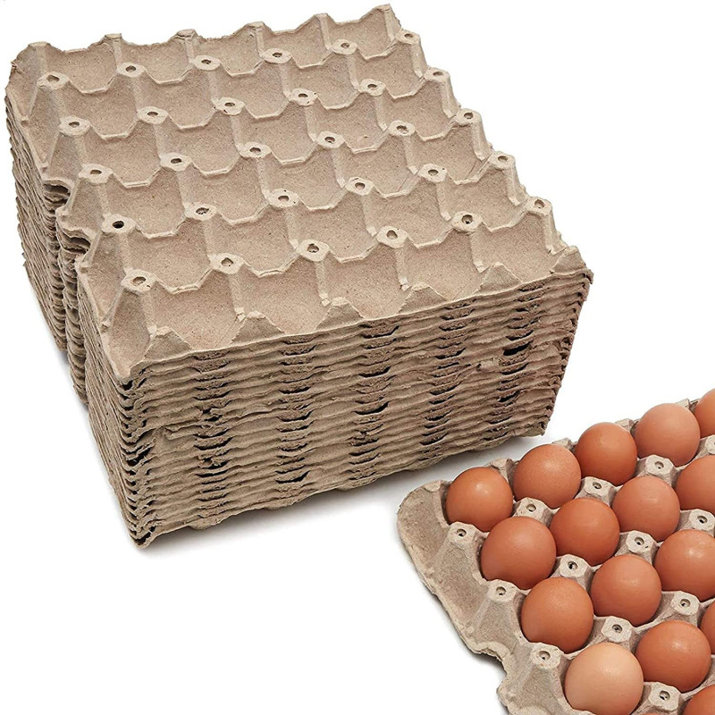 100 Paper EggTrays (batch)