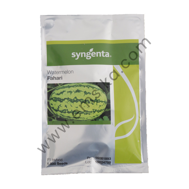 Fahari Watermelon Seed - 1000 Seeds