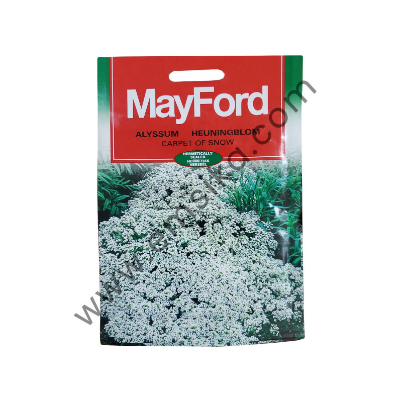Carpet of Snow (Alyssum Heuningblom) - 25g