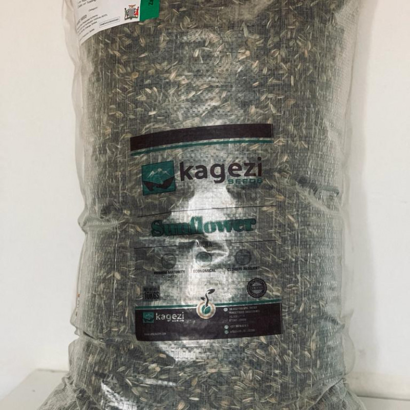 SUNFLOWER (KAGEZI SEEDS) - 10Kg