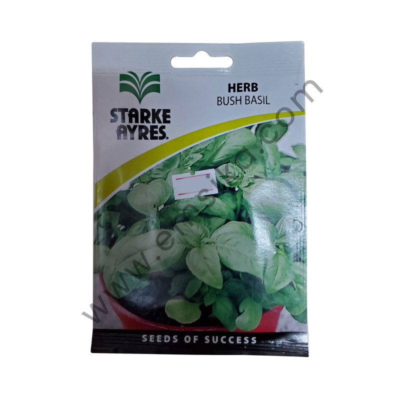 Bush Basil