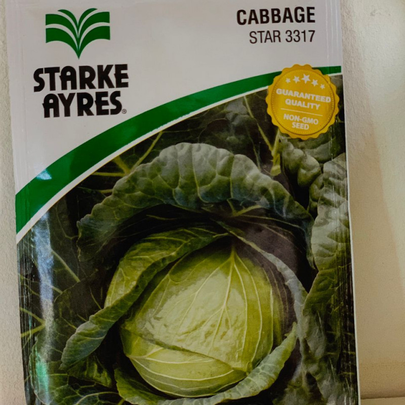 HYBRID CABBAGE (Star 3317) - 10g