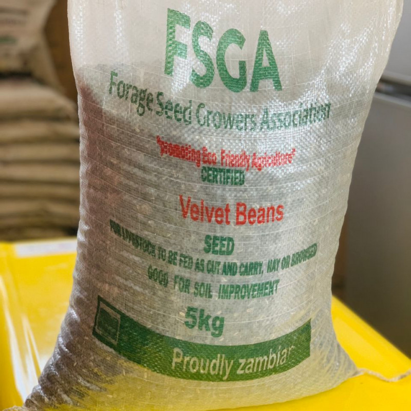 FSGA- VELVET BEANS | 5KG