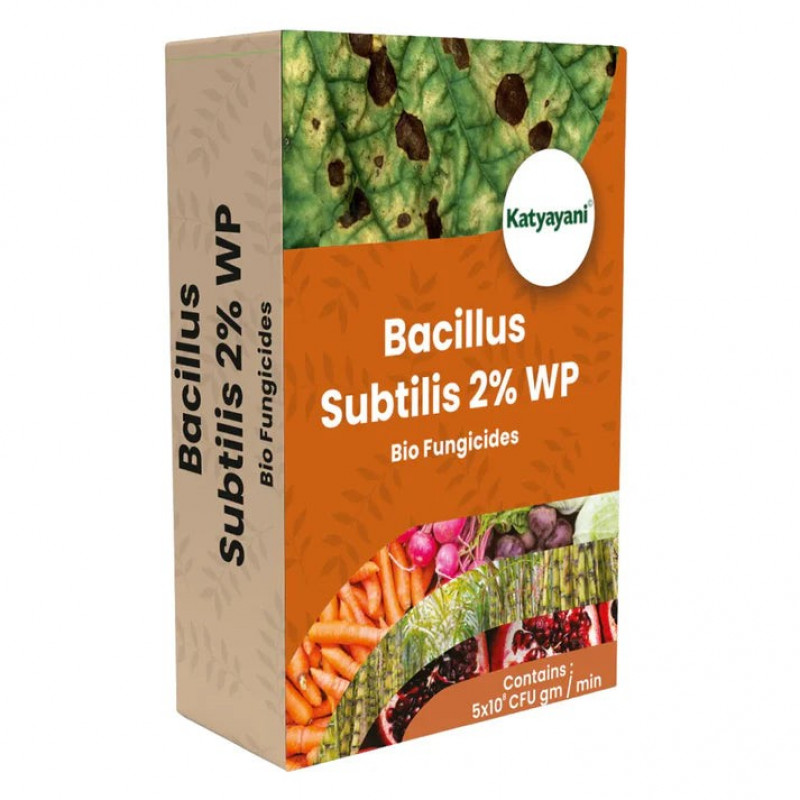 GGV Bacillus Subtilis 2% WP | Powder Bio Fungicide