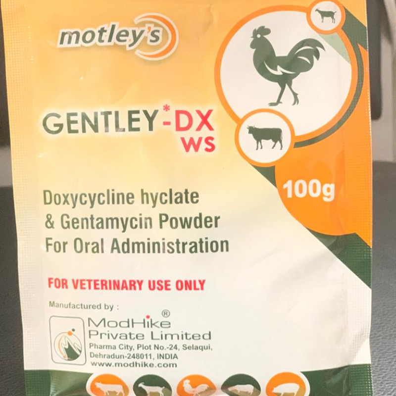 GENTLEY*-DX WS | 100g