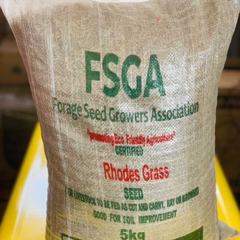 FSGA- RHODES GRASS | 5KG