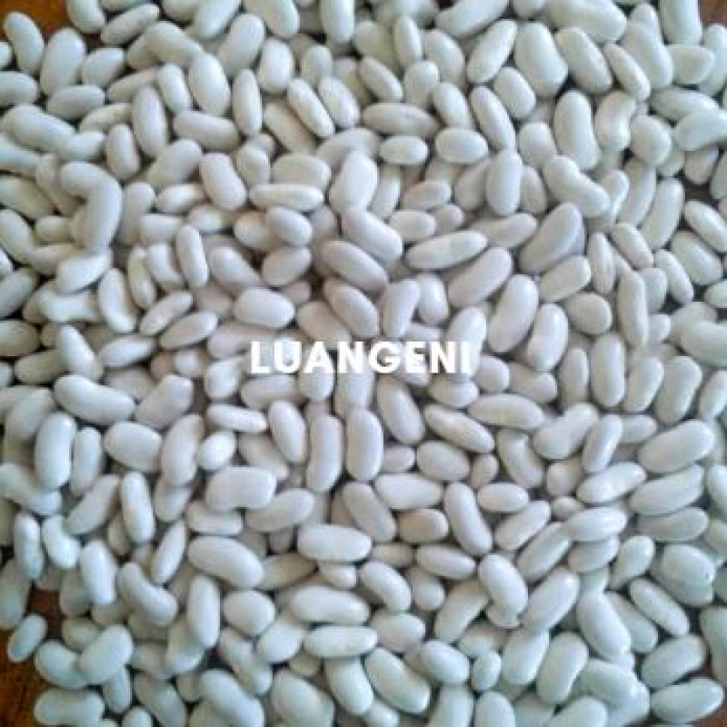 Luangeni