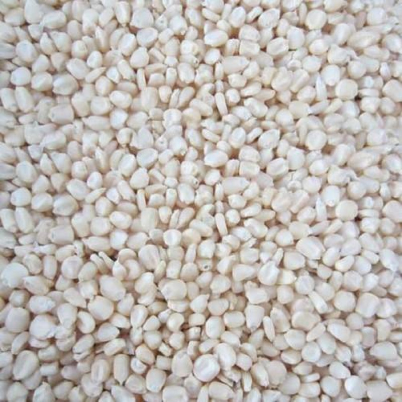 White Maize Grain - 50kg