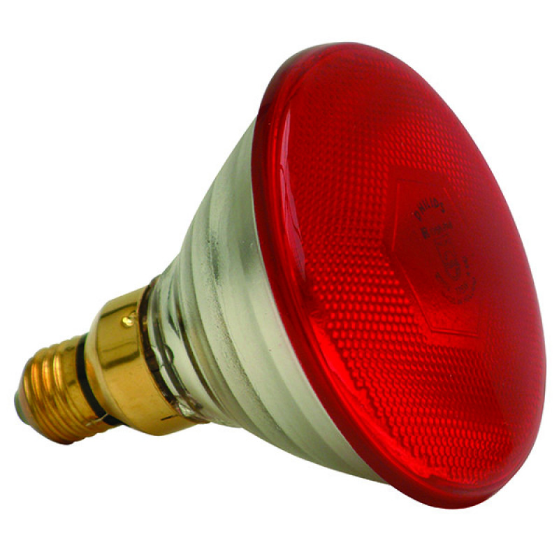 Heating Infra Red Lamp 175 Watt (100 Birds)