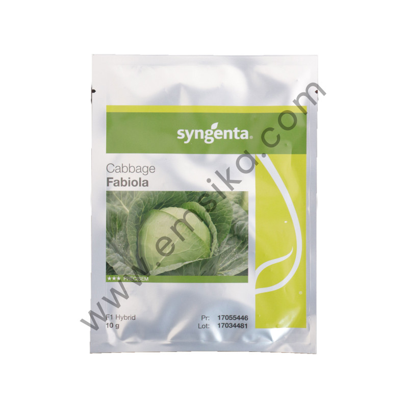 Fabiola Cabbage Seed - 10g