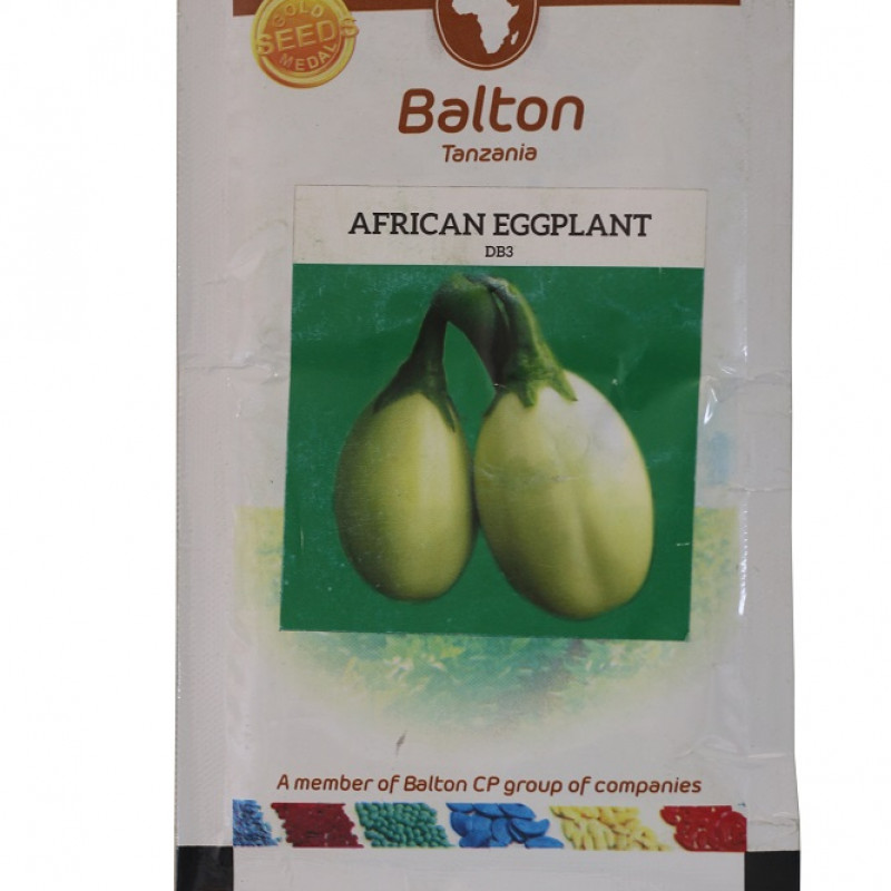 African Eggplant - 10g