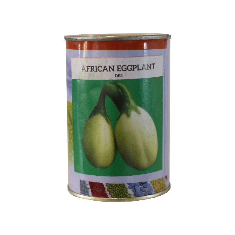 African Egg Plant - 100g