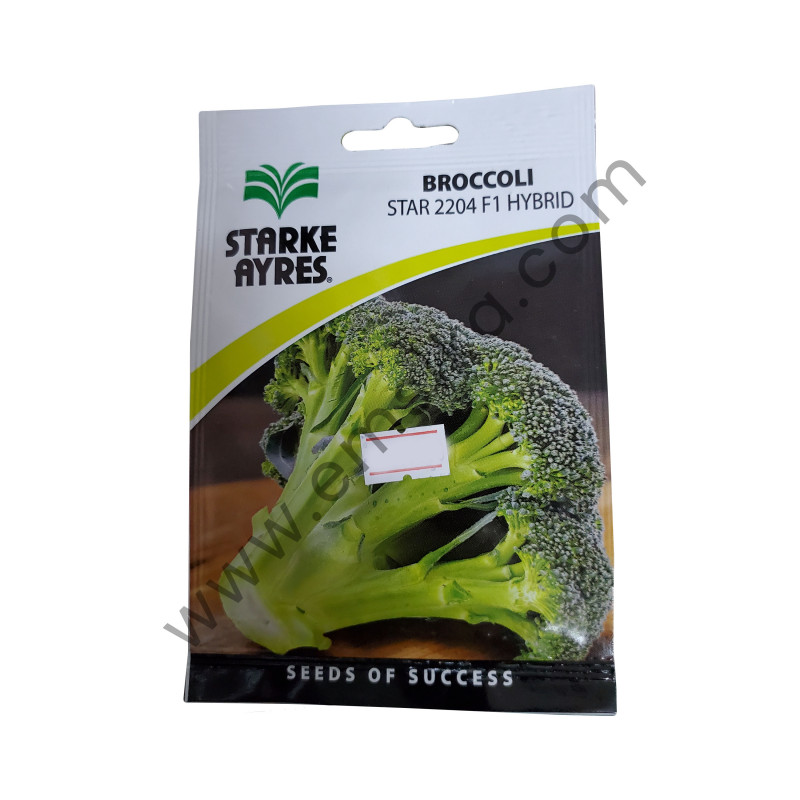 Broccoli - Star 2204 F1 Hybrid