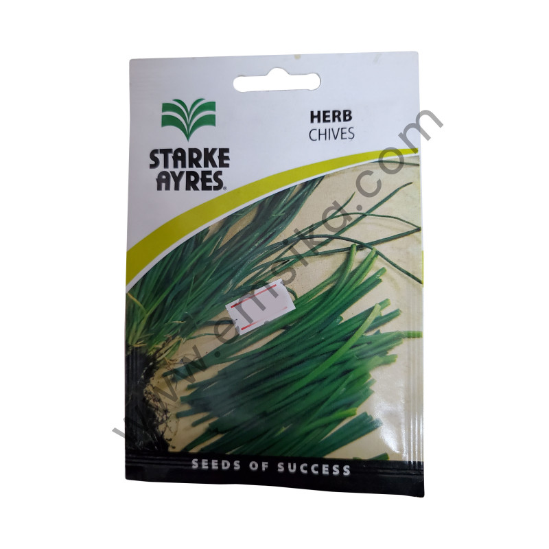 Chives - Herb