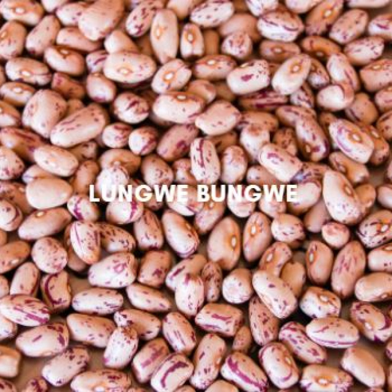 Lungwe Bungwe Beans